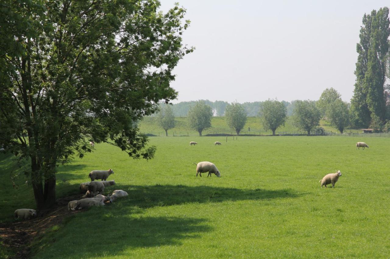 B&B Buitenwaard Oosterhout  Kültér fotó