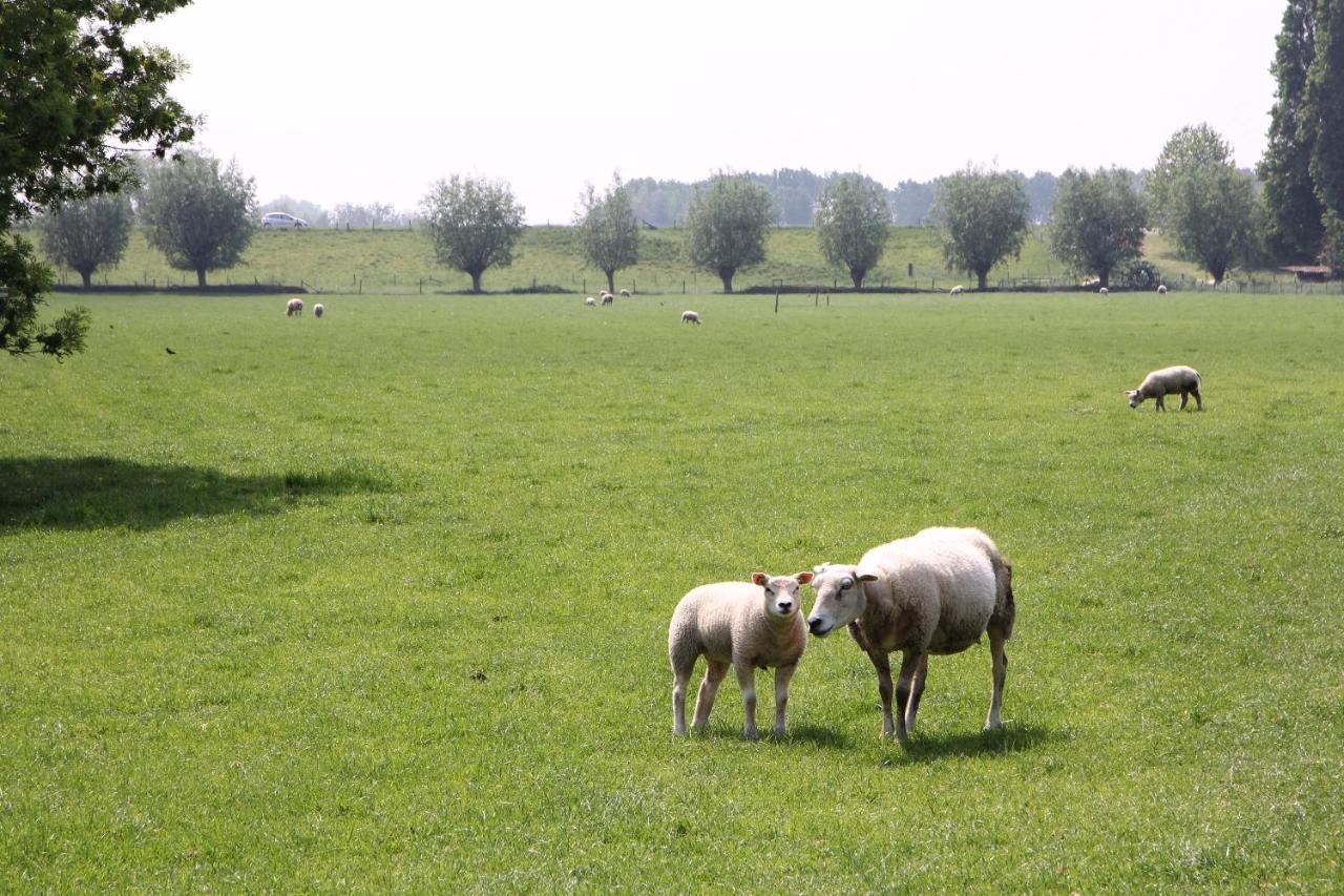B&B Buitenwaard Oosterhout  Kültér fotó